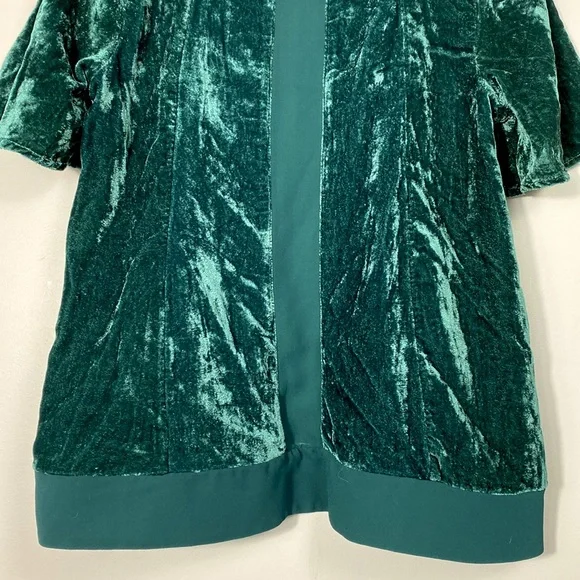 Maeve Green Velvet Blouse - Picture 9 of 11